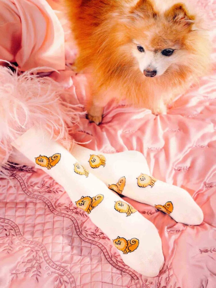 lysegul med spitz, strømper med hunde, remix by sofie, cou cou suzette, strømper, strømper i bomuld, italiensk bomuld, strømper produceret i bomuld,