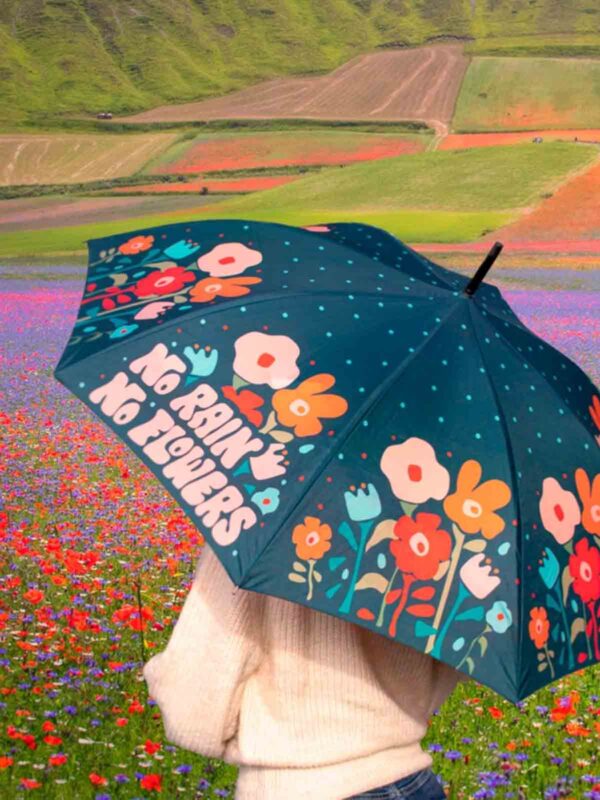 Paraply - No rain No flowers